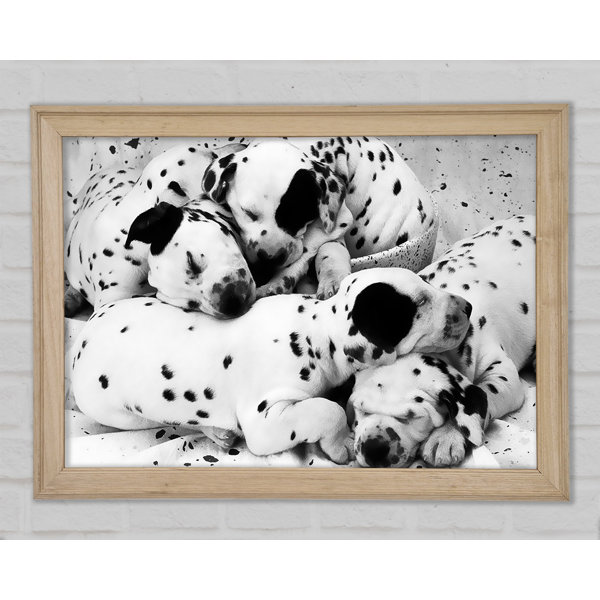 Brayden Studio Dalmatian Puppies In Dreamland - Single Picture Frame ...